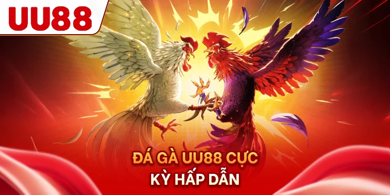 Đá gà UU88 cực kỳ hấp dẫn
