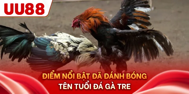 Điểm nổi bật đã đánh bóng tên tuổi đá gà tre