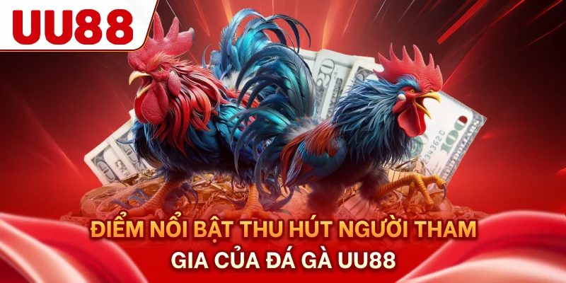 Điểm nổi bật thu hút người tham gia của đá gà UU88